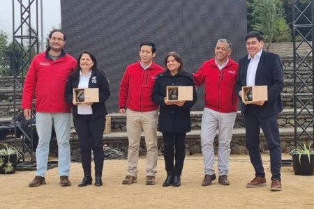 Profesionales de la UNAP son reconocidos en conmemoración por el mes del emprendedor en Collipulli