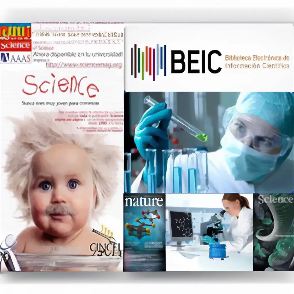 Programa de Alfabetización Informacional (ALFIN)