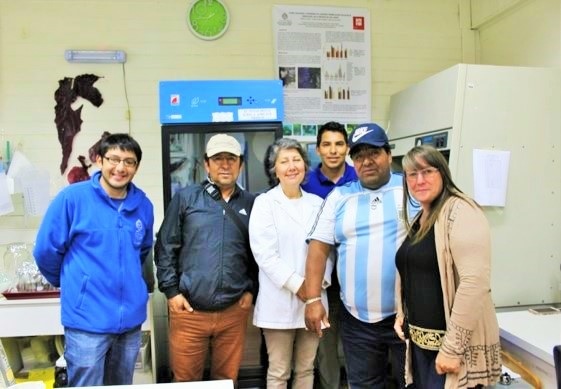 Imagen