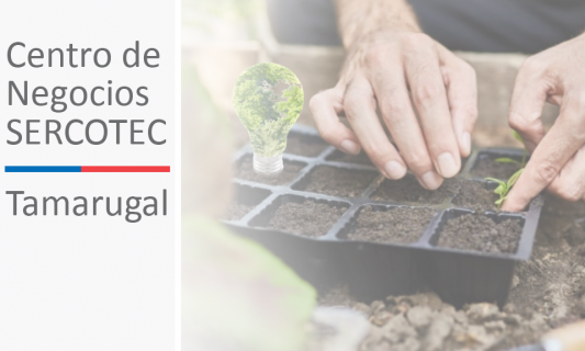 Centro de Negocios SERCOTEC Tamarugal