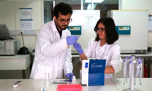 Líneas de Investigación