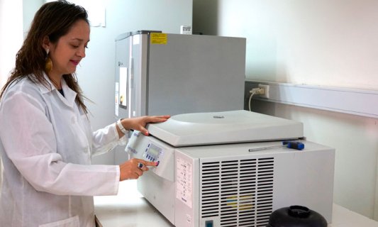 Vínculos Nacionales e Internacionales