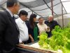 Unap y Municipio de Tocopilla planean instalar gran invernadero