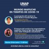 UNAP analiza cómo afecta el Covid-19 al Mundo Mapuche