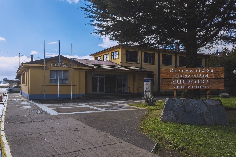 Estudiantes de TNS en Asistente en Educación de Párvulos potencian sus conocimientos de Sala Cuna con invitadas a sus clases online en UNAP Sede Victoria