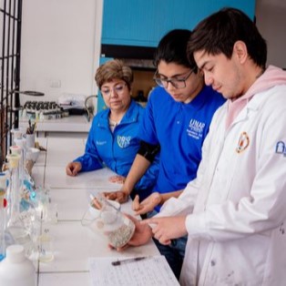 INGENIERÍA CIVIL METALÚRGICA