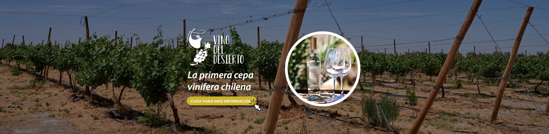 Patrimonio - Vino del desierto