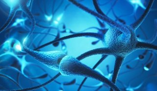 NEURONAS ESPEJO, EMPATÍA Y RELACIÓN CON LA ALTERIDAD