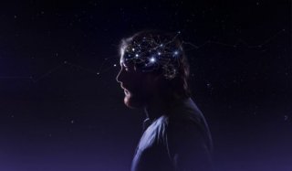 EL DESARROLLO CEREBRAL Y LA INDIVIDUACIÓN DEL SER HUMANO