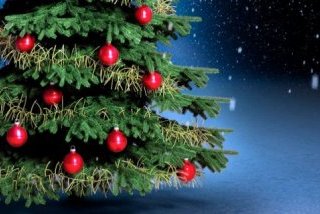 Formulario Inscripción Fiesta Navidad