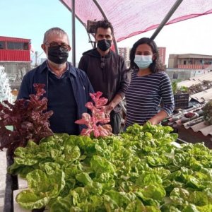 “Techos Verdes” de La QuintaSpa reciben asesoría agronómica de profesionales de la UNAP para mejorar sus huertos urbanos