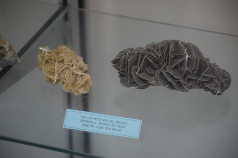 Yeso con hábito rosa del desierto