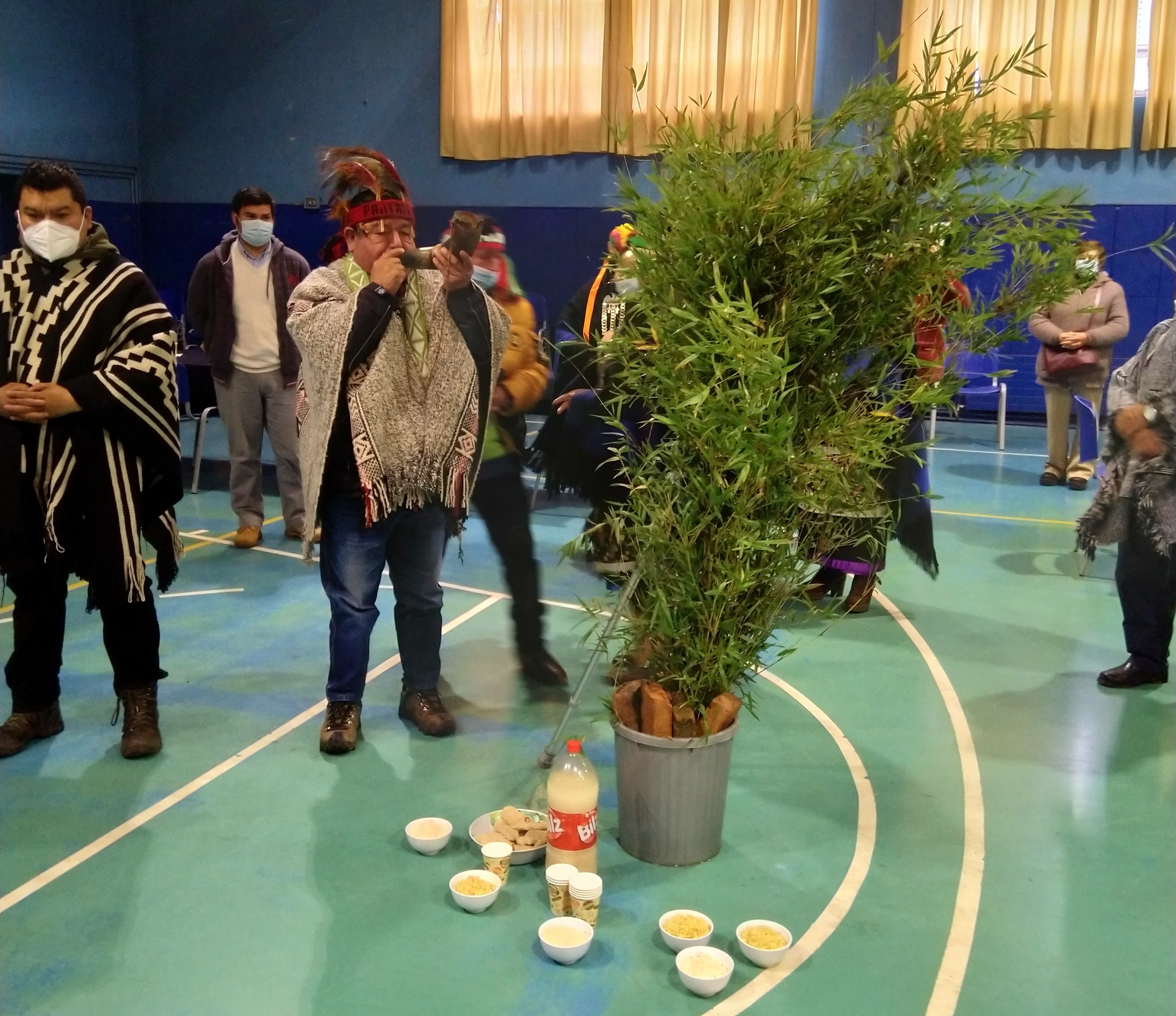 Con la presencia de diversos invitados la UNAP Sede Victoria reanudó su tradicional celebración del We Tripantu