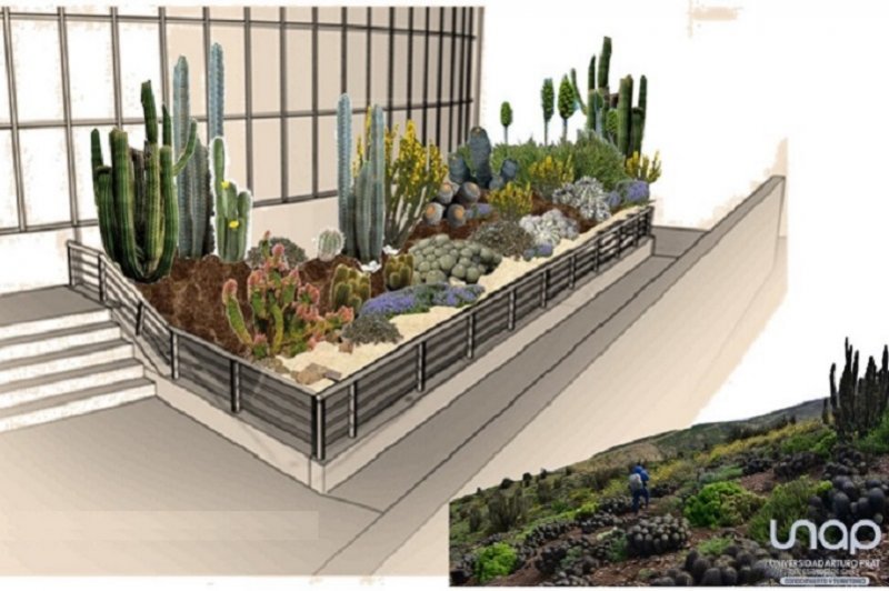 Proyecto científico construye inédito jardín artificial de “oasis de niebla” en un Parque Botánico