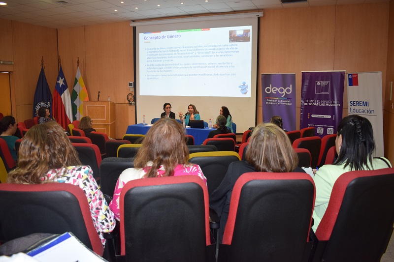 UNAP ayudó a difundir conocimientos y recopilar propuestas para ley sobre educación no sexista