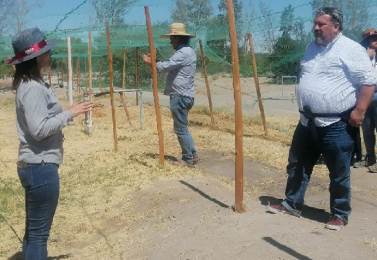 Experto internacional tuvo agenda de trabajo con equipo del Proyecto Vino del Desierto UNAP
