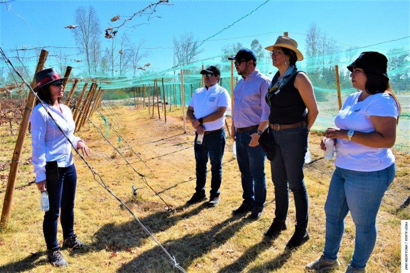 Subsecretaria de Turismo conoció ruta de "Vino del Desierto" y destacó sus aportes para proyectar Tarapacá como zona vinífera