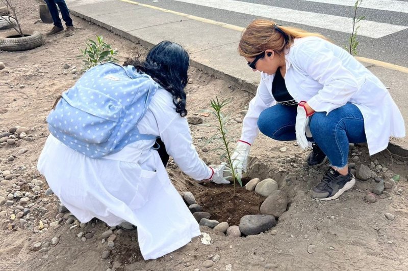 UNAP Arica se unió al Liceo Bicentenario Domingo Santa María en jornada de Arborización y compromiso ambiental