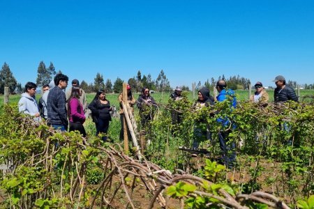 Estudiantes de Agropecuario conocen en terreno emprendimientos de la Comunidad Ignacio Quilape Cayupán