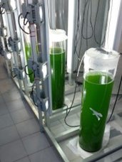 Tecnologías de Bioproducción