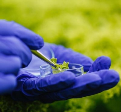 Imagen Perfil de Egreso