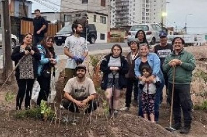 UNAP y vecinos de Población Norte Hospital transforman microbasural en área verde con plantas nativas de bajo consumo hídrico