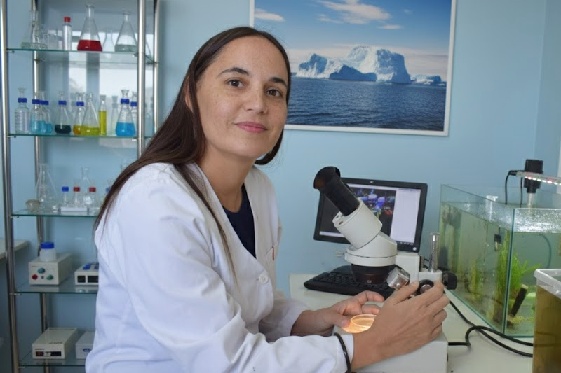 Investigadora de la UNAP participa en pionero estudio sobre el impacto de microplásticos en peces antárticos