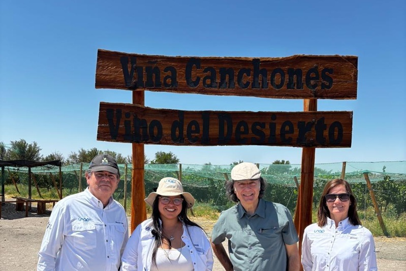 Experto mundial del vino visita Canchones y descubre el “Vino del Desierto”