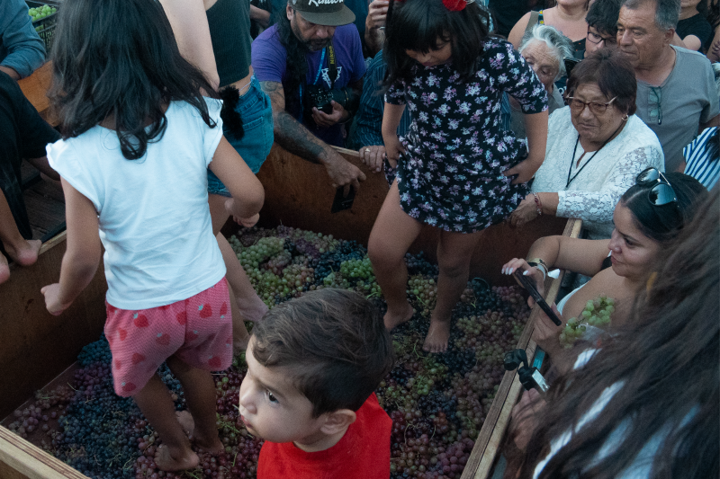UNAP celebró con gran éxito la vigésima primera edición de la “Vendimia del Vino del Desierto”