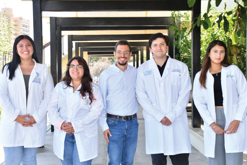 La apuesta de la UNAP por formar científicos en el ámbito de la aracnología desde el pregrado