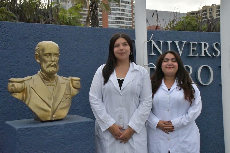 Publicación científica destaca investigación de estudiantes UNAP sobre adaptación al calor extremo de araña sicario