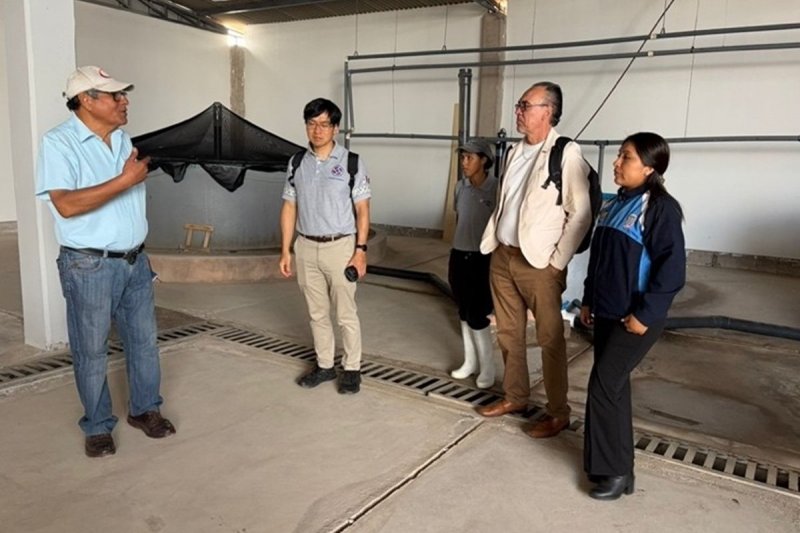 Especialista de JICA visita laboratorio marino de la UNJBG para fortalecer investigación en acuicultura