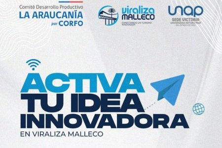 Programa de formación “Viraliza Malleco” vuelve para potenciar el emprendimiento en la región