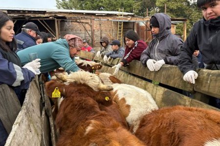 Técnicos en Agropecuario consolidan sus conocimientos en jornada práctica en diversos terrenos